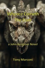 Whence Cometh the Dark