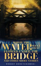 Where The Water Went That Flowed Under the Bridge