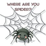 Where are you spider?