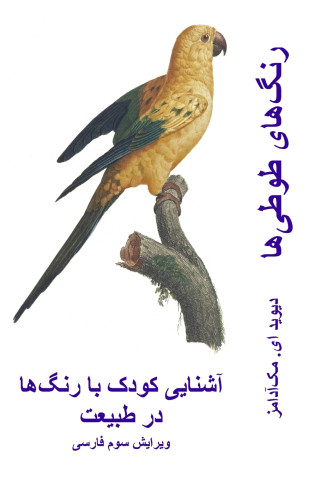 رنگ‌های طوطی‌ها