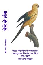 ਤੋਤੇ ਦੇ ਰੰਗ