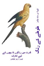 طوطے کے رنگ