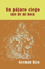 Un pájaro ciego nace de mi boca