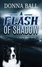 A Flash of Shadow