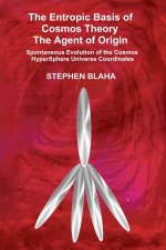 The Entropic Basis of Cosmos Theory The Agent of Origin