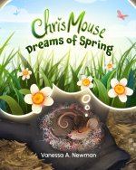 Chris Mouse Dreams of Spring