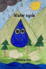 Water cycle