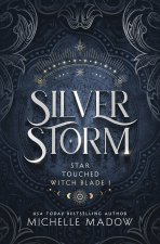 Silver Storm