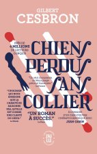 Chiens perdus sans collier