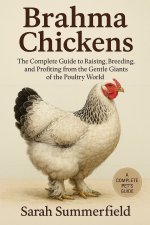 Brahma Chickens