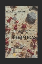 La vida secreta de las hormigas