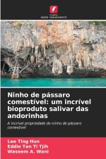 Ninho de pássaro comestível