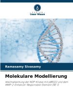 Molekulare Modellierung