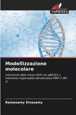 Modellizzazione molecolare