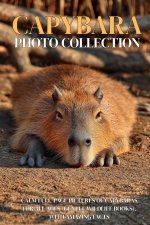 Capybara Photo Collection