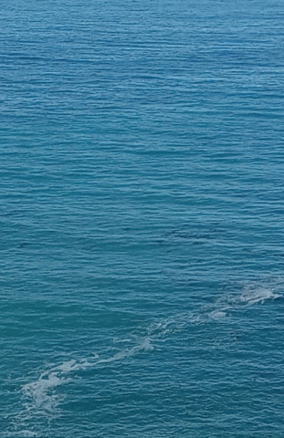 Ever Adrift