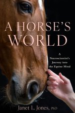 HORSES WORLD