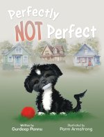 Perfectly NOT Perfect