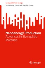 Nanoenergy Production