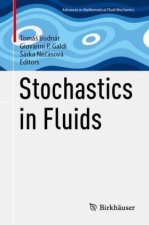 Stochastics in Fluids