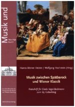 Musik zwischen Spätbarock und Wiener Klassik