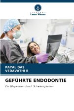GEFÜHRTE ENDODONTIE