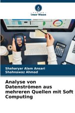 Analyse von Datenströmen aus mehreren Quellen mit Soft Computing