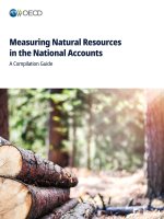 Measuring Natural Resources in the National Accounts