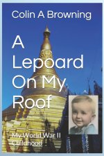 A Lepoard On My Roof