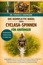 DIE KOMPLETTE BIBEL ÜBER CYCLASA-SPINNEN FÜR ANFÄNGER