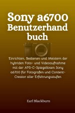 Sony a6700 Benutzerhandbuch