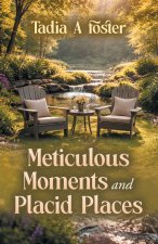Meticulous Moments and Placid Places