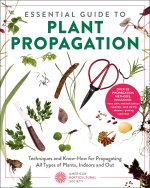 Essential Guide to Plant Propagation