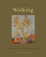 Walking