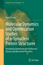 Molecular Dynamics and Optimization Studies of  -Synuclein Protein Structures