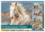 Knabstrupper Poesie. Gescheckte Eleganz im Farmsommer (Tischkalender 2027 DIN A5 quer), CALVENDO Monatskalender