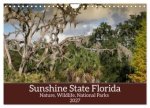 Sunshine State Florida Nature, Wildlife, National Parks (Wall Calendar 2027 DIN A4 landscape), CALVENDO 12 Month Wall Calendar