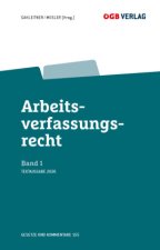 Arbeitsverfassungsrecht Bd 1