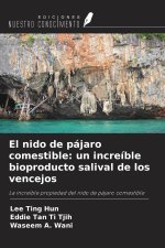 El nido de pájaro comestible: un increíble bioproducto salival de los vencejos