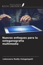 Nuevos enfoques para la esteganografía multimedia
