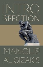 Introspection