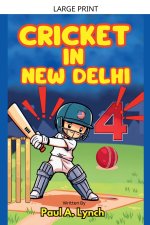 Cricket In New Delhi