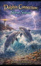 DOLPHIN CONNECTION