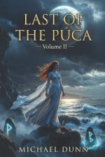 The Last of the Púca