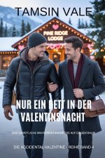Nur ein Bett in der Valentinsnacht