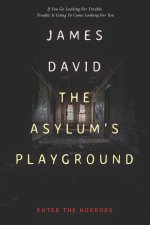 The Asylum's Playground