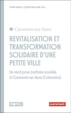 Revitalisation et transformations solidaires des petites villes