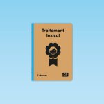 7 séances Traitement lexical CP