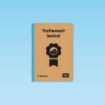 5 séances Traitement lexical MS
