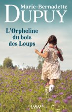 L'orpheline du bois du loup - La Saga des Bories, tome 1